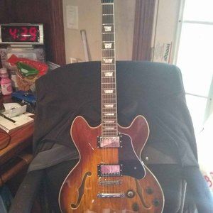 Semi Electric Hollowbody Guitar